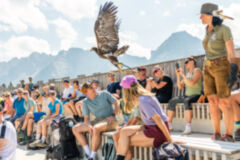 AdlerBuehne Ahorn (1)