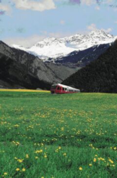 460-backend 1280914393 TMR sanktbernhardt