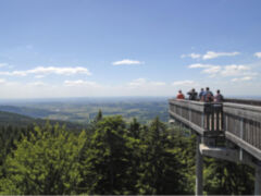 D Bayerischer Wald Waldwipfelweg 4569