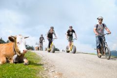 Downhill Roller 1 ©Bergbahnen Ofterschwang-Gunzesried - Pro Vision Media